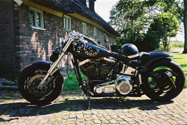 danielshdevosoftail.jpg