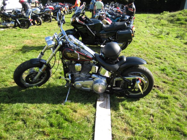 gerritshdsoftail2.jpg